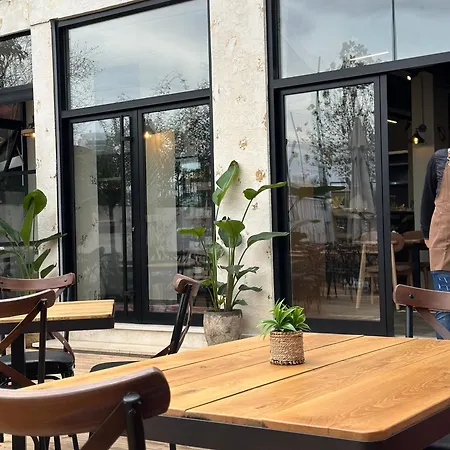 Garden Boutique 3* 地拉那